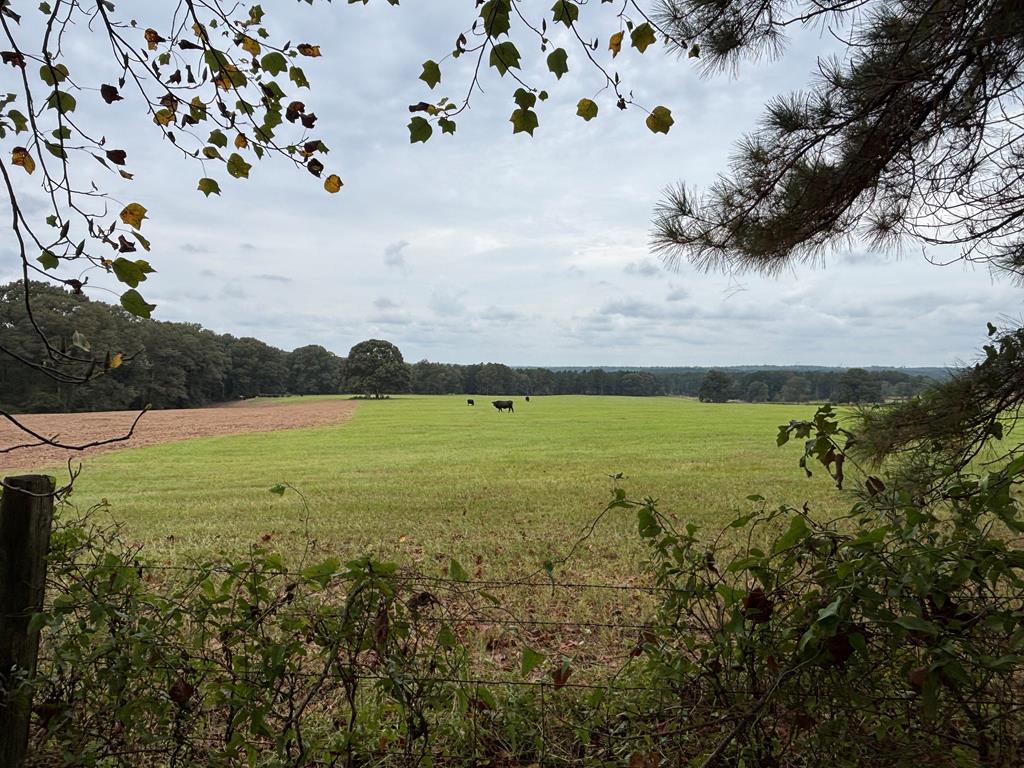 349 New Hope Road Mauk, GA 31058 - Photo 12 of 48 neighbors western green pastures