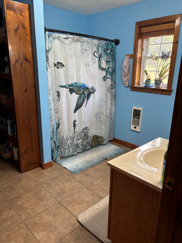 349 New Hope Road Mauk, GA 31058 - Photo 22 of 48 primary bath