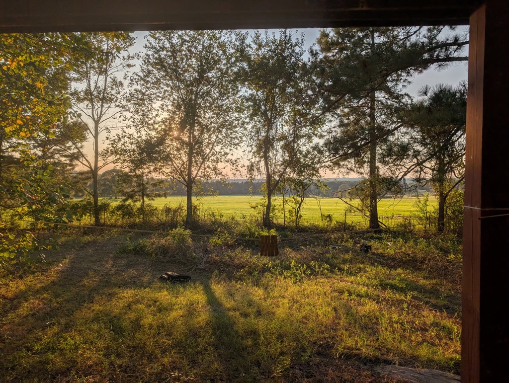 349 New Hope Road Mauk, GA 31058 - Photo 30 of 48 western views for sunsets from the front porch