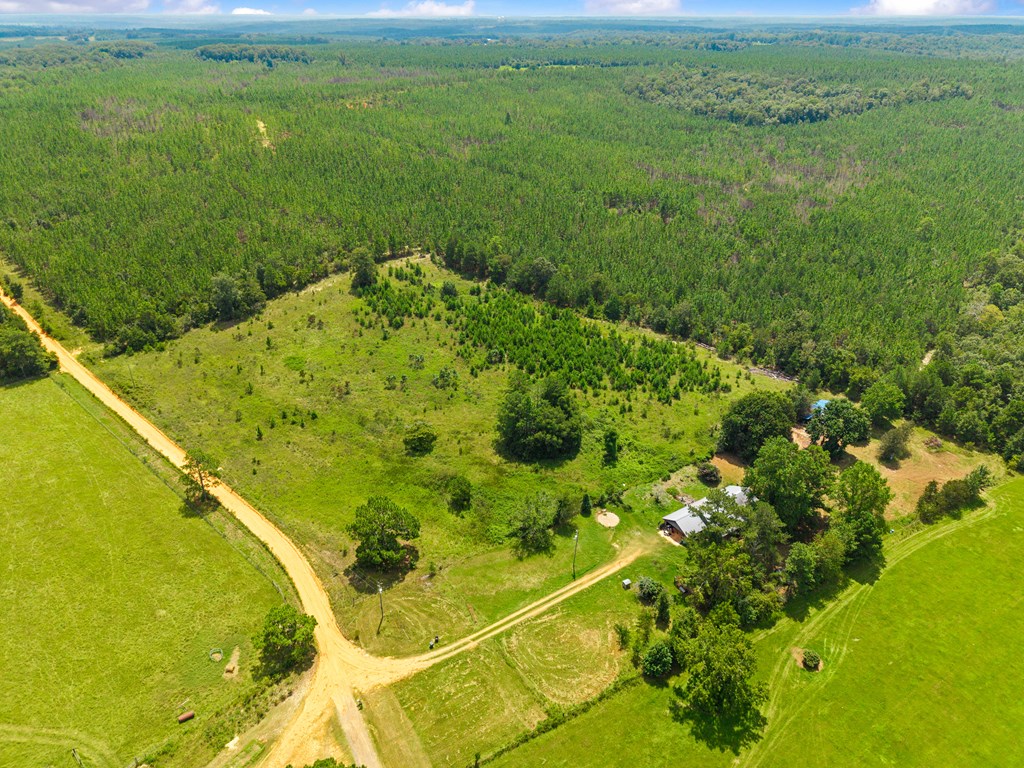349 New Hope Road Mauk, GA 31058 - Photo 3 of 48 looking southeast over the property