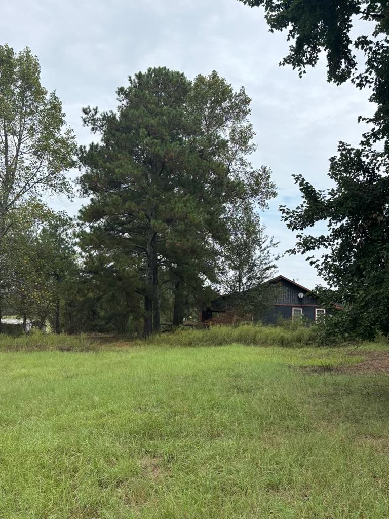 349 New Hope Road Mauk, GA 31058 - Photo 31 of 48 Gallery Image 31