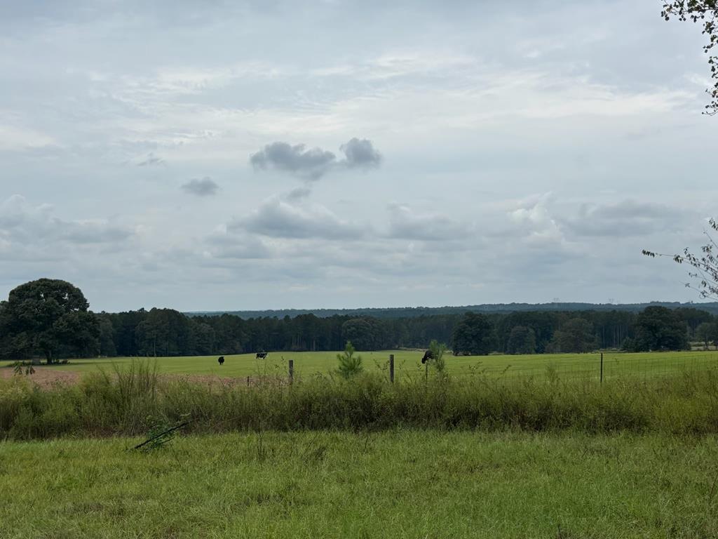 349 New Hope Road Mauk, GA 31058 - Photo 32 of 48 neighbors pasture