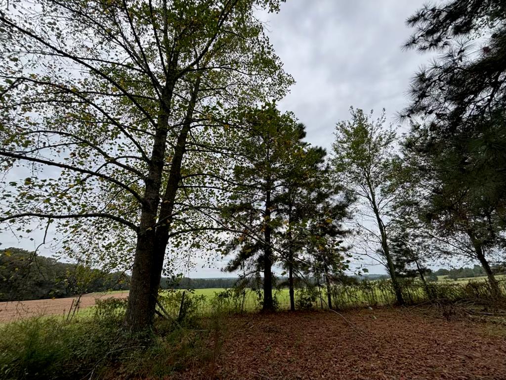 349 New Hope Road Mauk, GA 31058 - Photo 33 of 48 Gallery Image 33