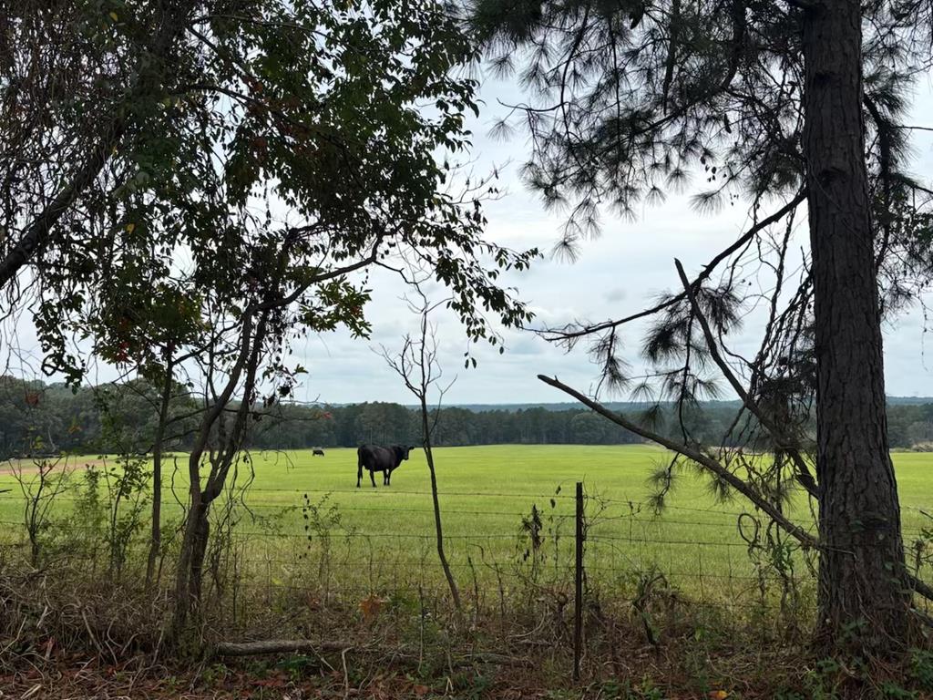 349 New Hope Road Mauk, GA 31058 - Photo 34 of 48 looking across neighbors pasture