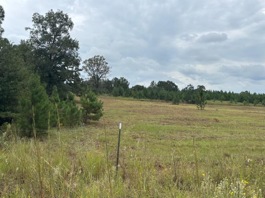 349 New Hope Road Mauk, GA 31058 - Photo 43 of 48 Gallery Image 43