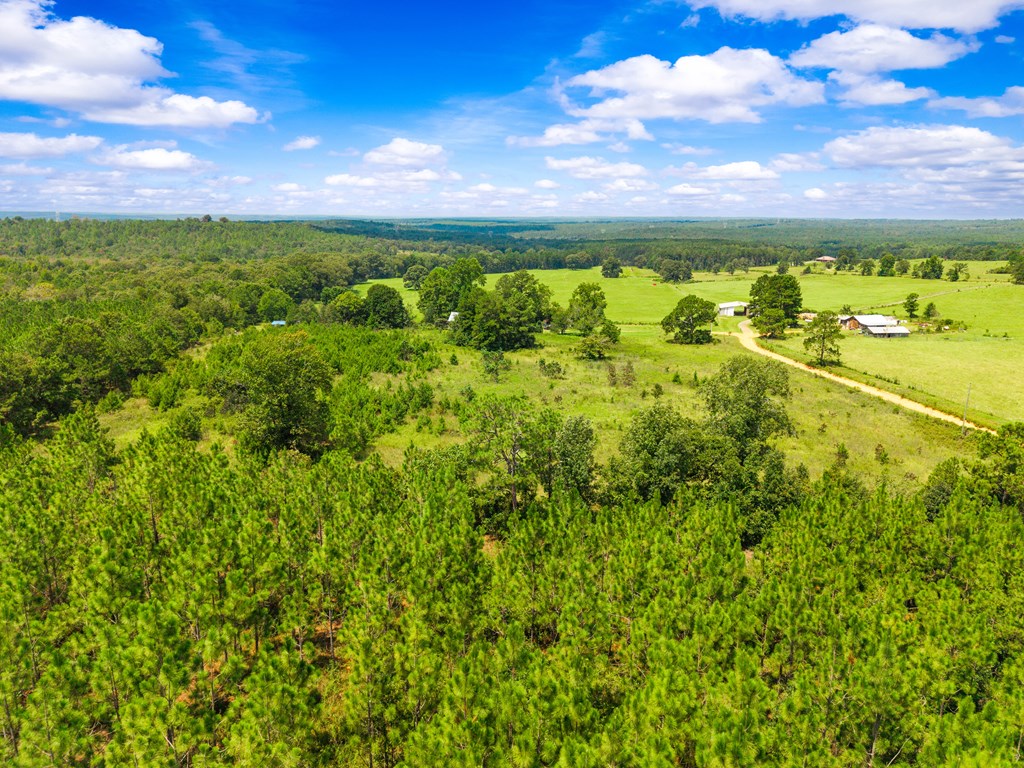 349 New Hope Road Mauk, GA 31058 - Photo 45 of 48 looking northwest across 10 ac