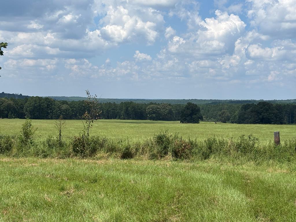 349 New Hope Road Mauk, GA 31058 - Photo 46 of 48 Gallery Image 46