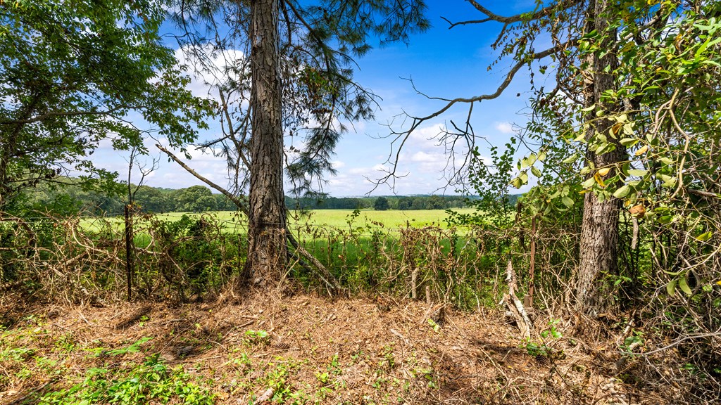 349 New Hope Road Mauk, GA 31058 - Photo 48 of 48 Gallery Image 48