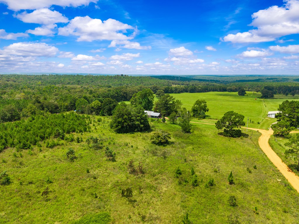 349 New Hope Road Mauk, GA 31058 - Photo 6 of 48 Gallery Image 6