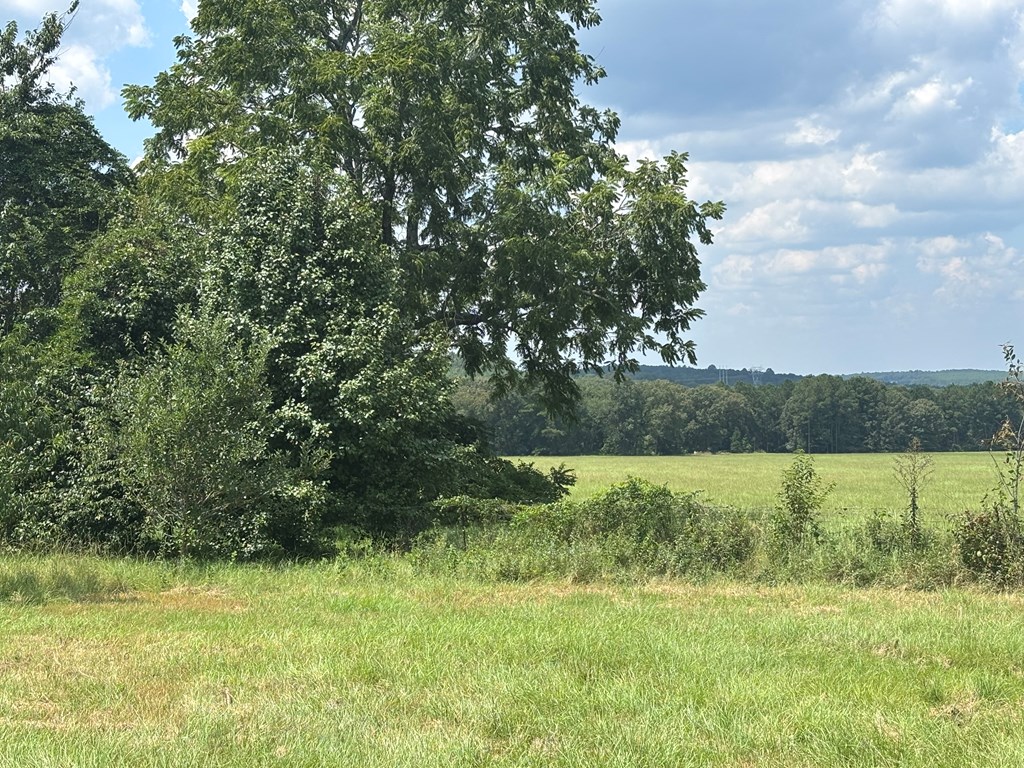 349 New Hope Road Mauk, GA 31058 - Photo 10 of 48 Gallery Image 10