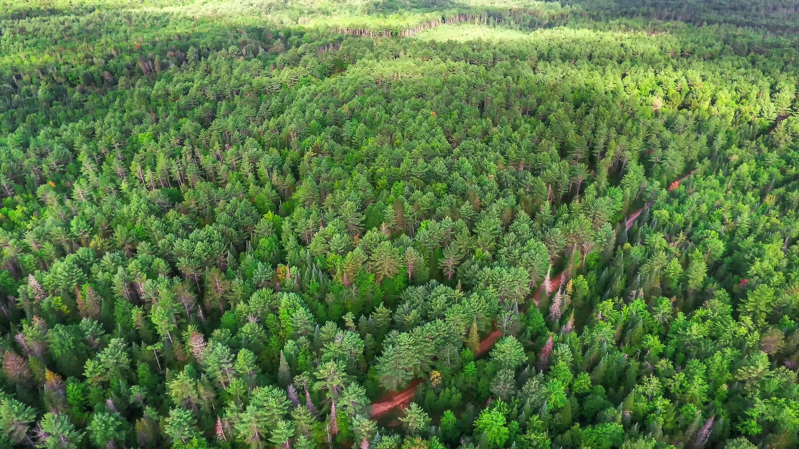 167 Harrison Road Oxford, ME 04270 - Photo 32 of 40 05_DJI_0007_copy_1_mls