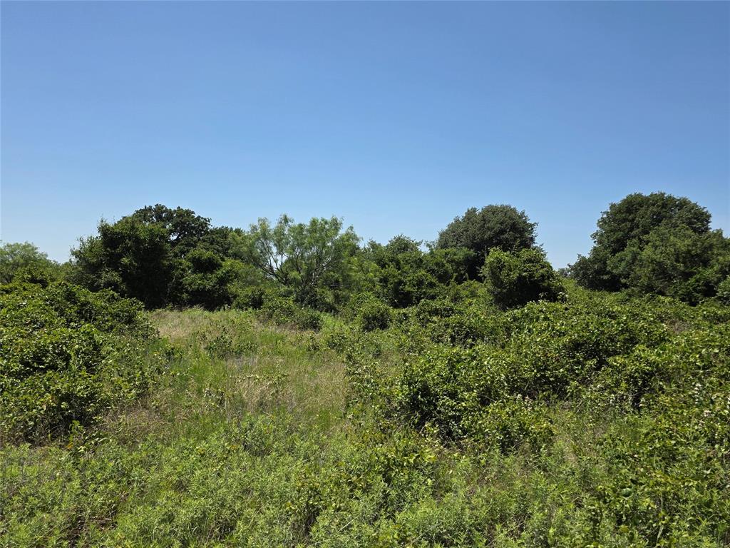 1000 County Road 375 Rising Star, TX 76471 - Photo 29 of 40
