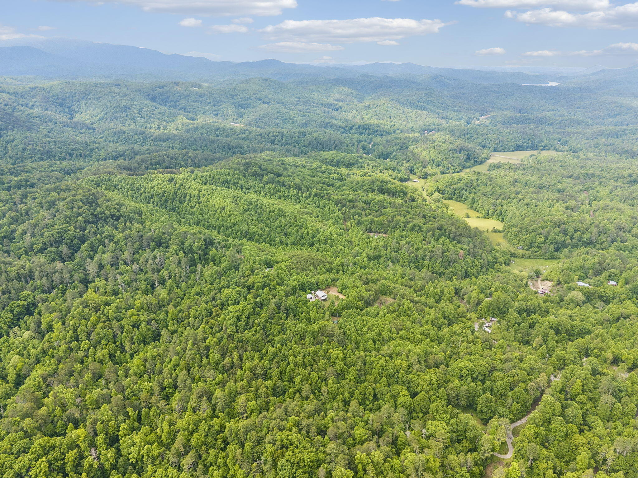 161 Willie Shell Road Reliance, TN 37369 - Photo 67 of 70 47-161 Willie Shell Rd Reliance - 055