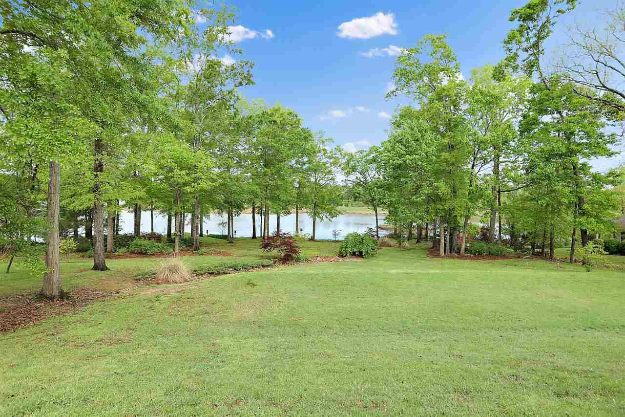 509 Ridge Circle Brandon, MS 39047 - Photo 7 of 47 Photo 7