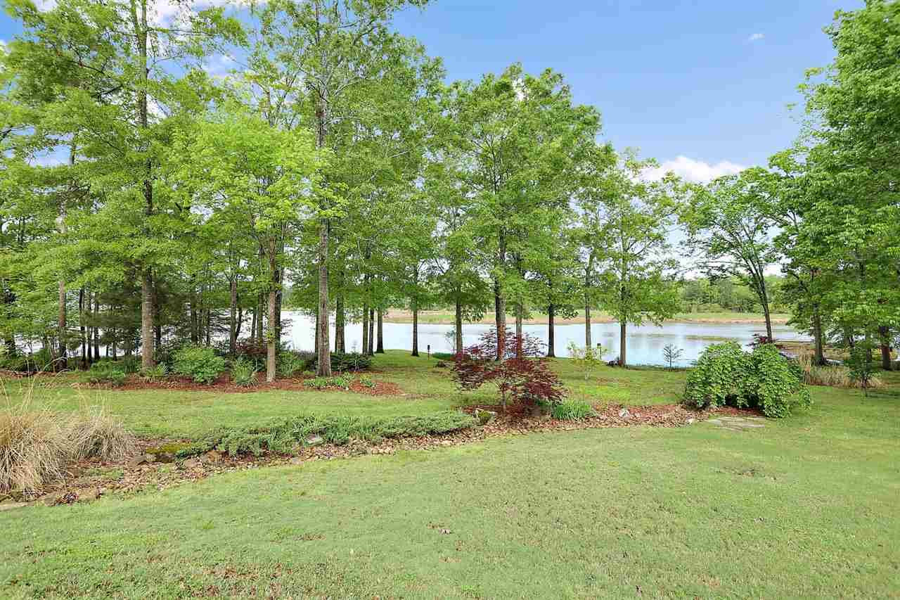 509 Ridge Circle Brandon, MS 39047 - Photo 8 of 47 Photo 8