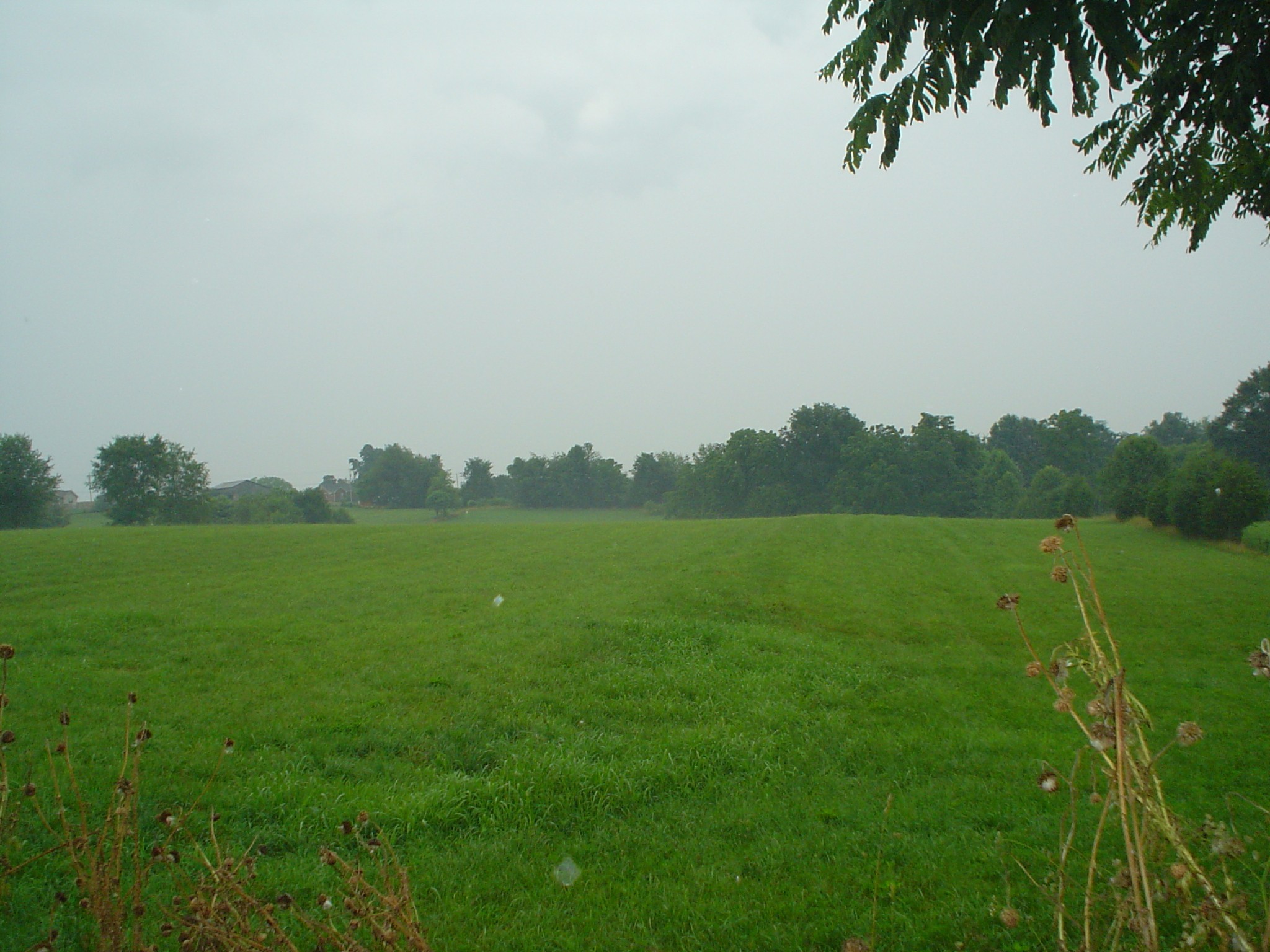 0 Frog Pond Cemetery Road Southeast Lafayette, TN 37083 - Photo 1 of 4 a view of a grassy field with trees