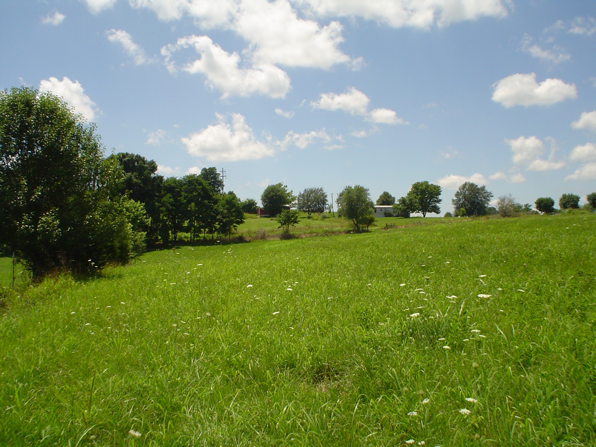 0 Frog Pond Cemetery Road Southeast Lafayette, TN 37083 - Photo 2 of 4 a view of a grassy field with trees in the background