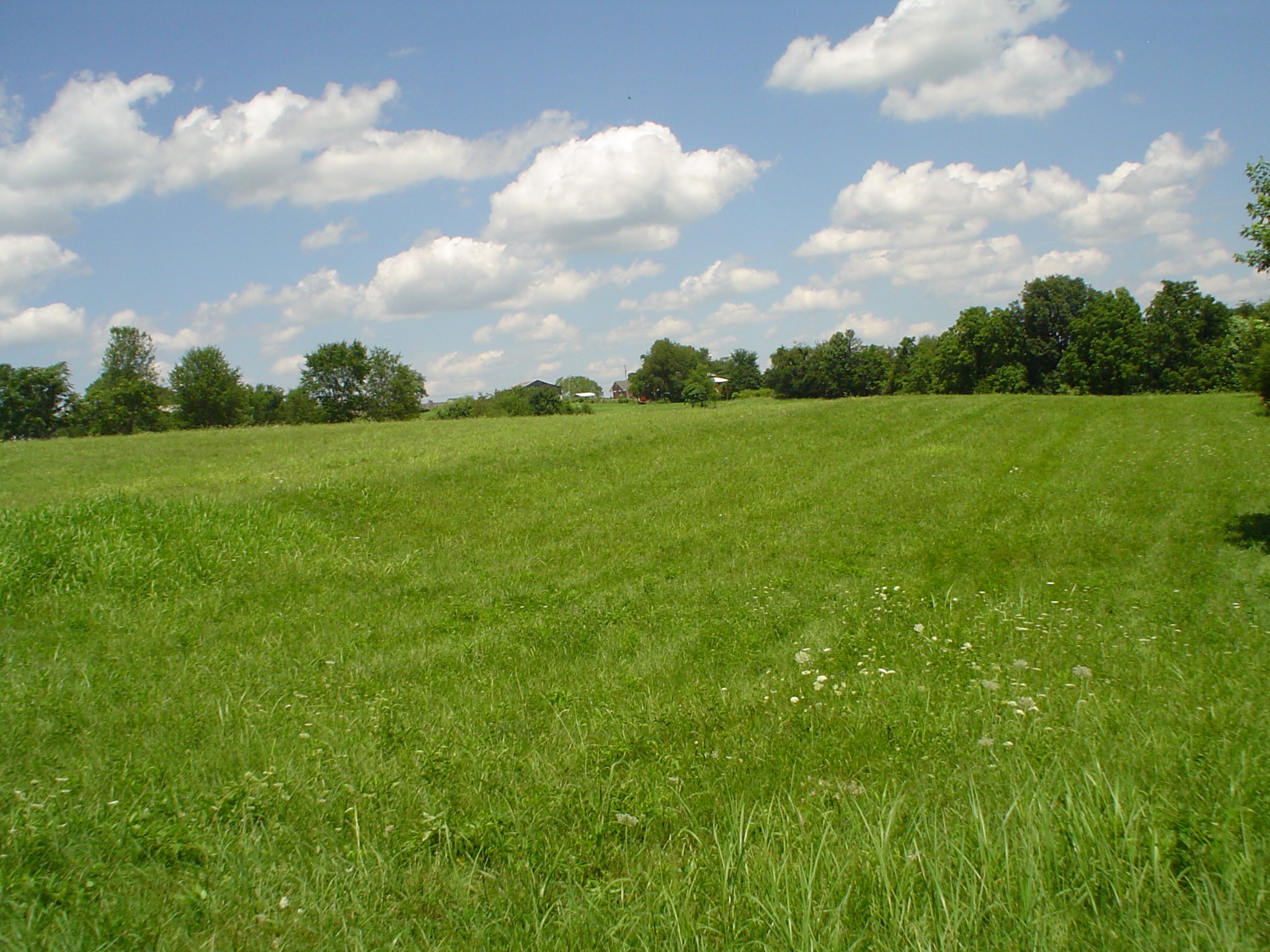 0 Frog Pond Cemetery Road Southeast Lafayette, TN 37083 - Photo 3 of 4 a view of field with green space