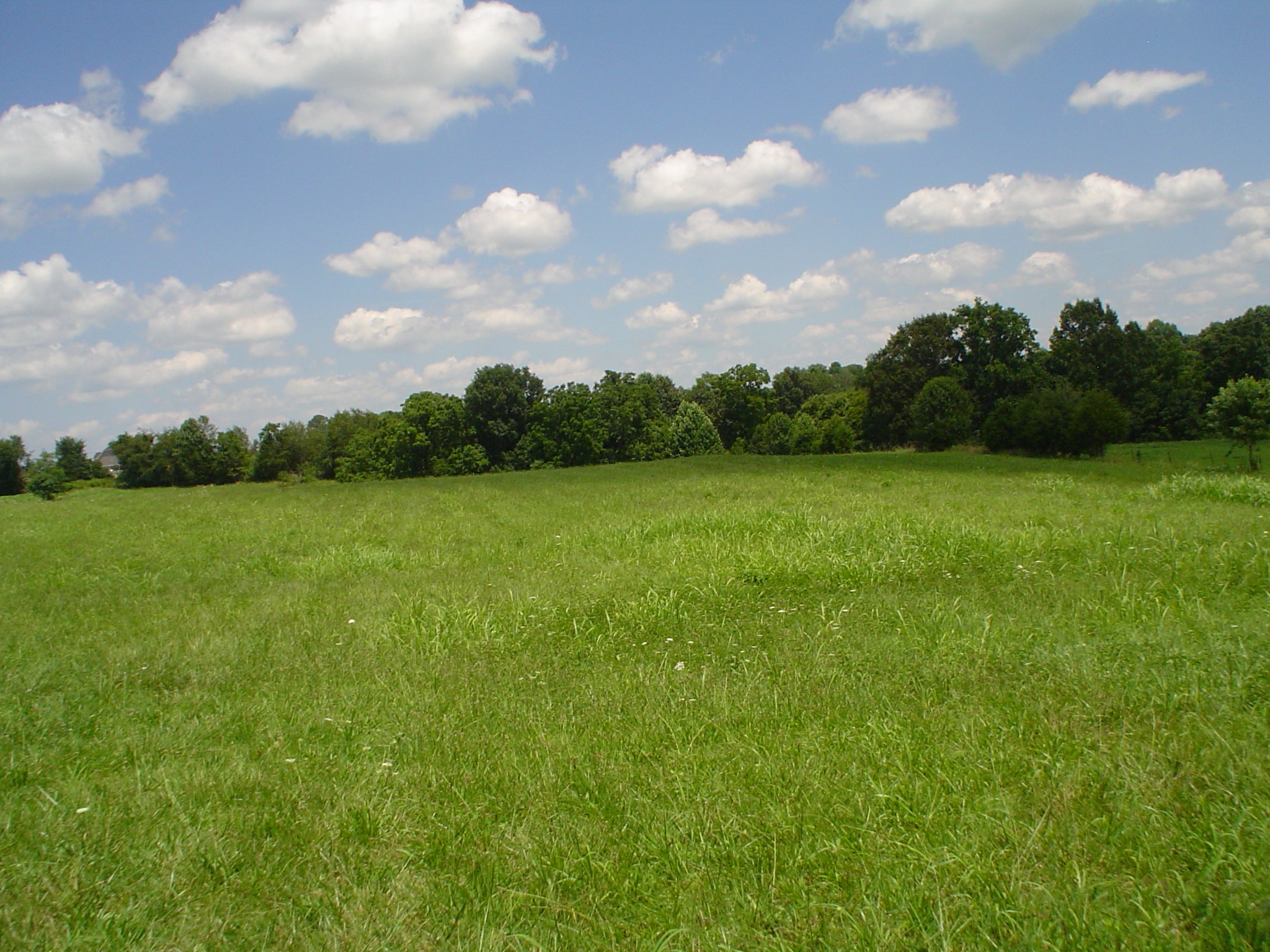 0 Frog Pond Cemetery Road Southeast Lafayette, TN 37083 - Photo 4 of 4 a view of a green field with wooden fence