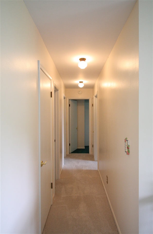 4851 West Lincoln Road Alma, MI 48801 - Photo 10 of 39 1846950-9.JPG