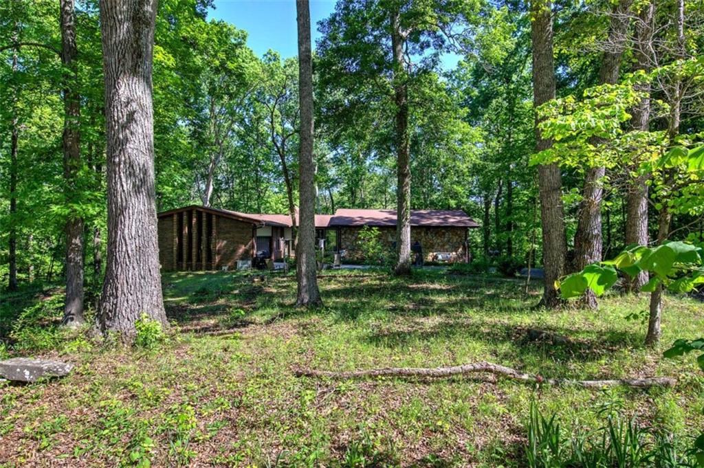 a backyard of a house with trees and plants