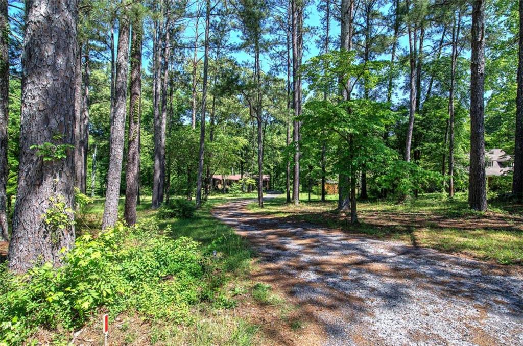 567 Fred Kelly Road Northeast Rome, GA 30161 - Photo 13 of 59 a view of a yard with large trees