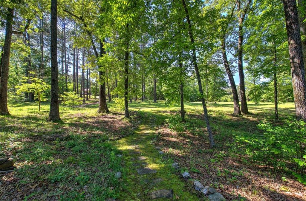 567 Fred Kelly Road Northeast Rome, GA 30161 - Photo 4 of 59 a view of outdoor space with trees
