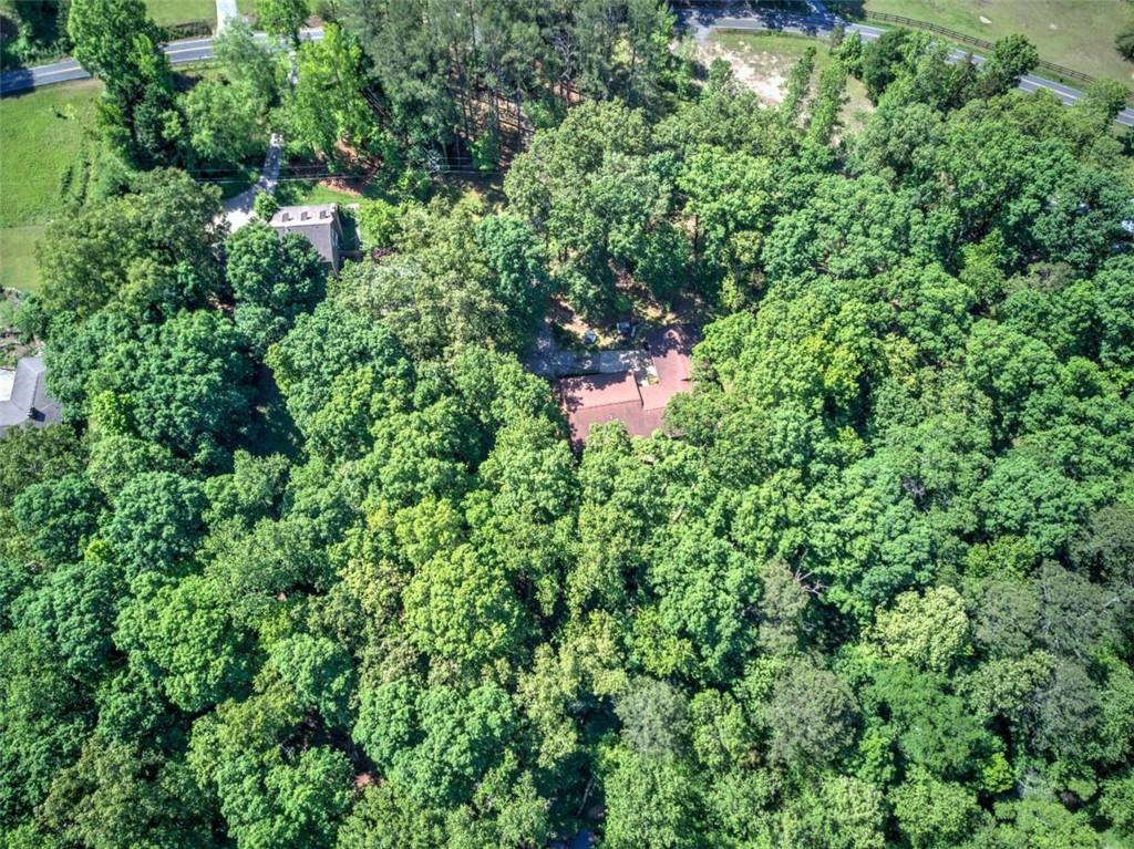 567 Fred Kelly Road Northeast Rome, GA 30161 - Photo 58 of 59 an outdoor space with lots of trees in the background