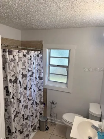 a white toilet sitting next to a shower curtain