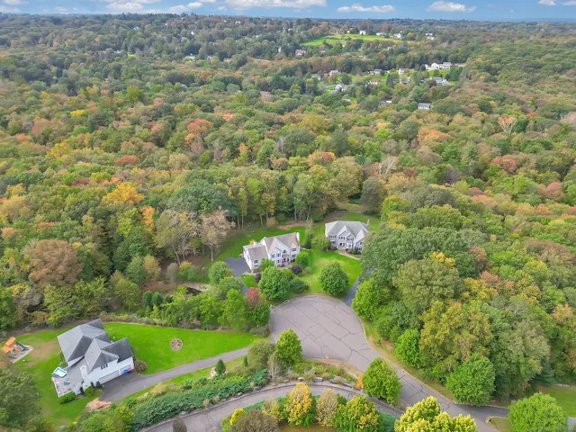 a view of a wooden house with a yard and plants