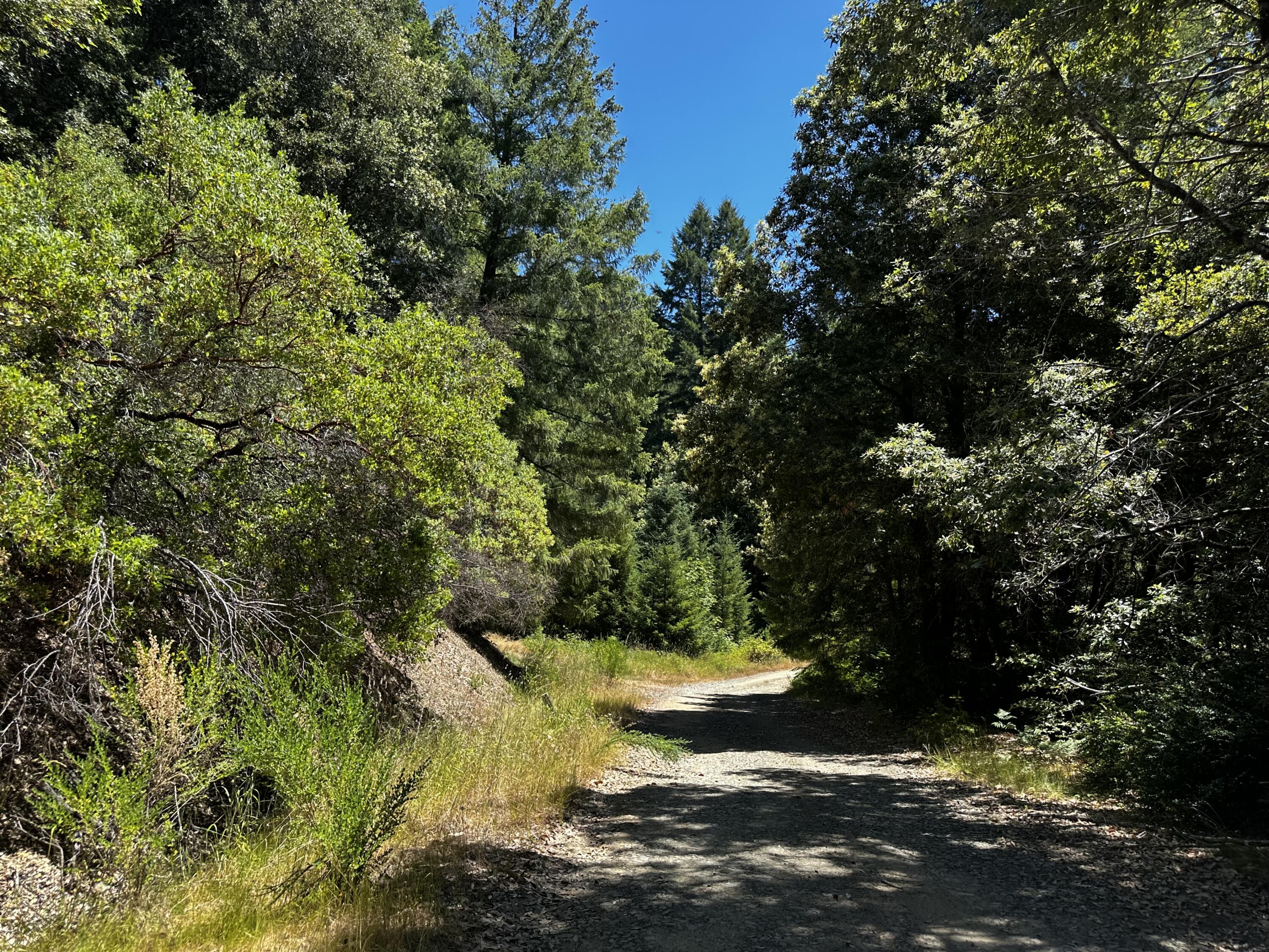 1055 Goodman Ranch Road Garberville, CA 95542 - Photo 53 of 63