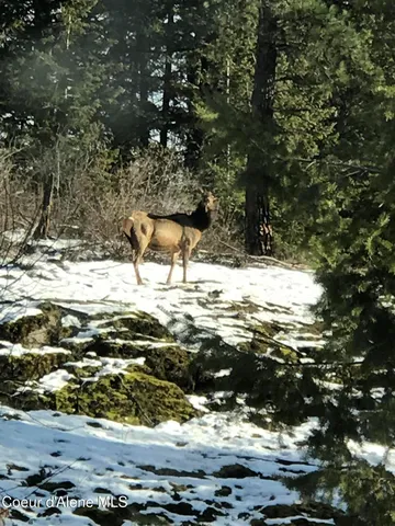 $2,250,000 | 1010 Mc Quade Gulch Drive, Clark Fork, ID 83811