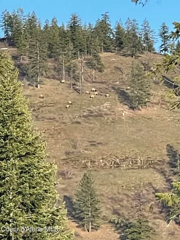 $2,250,000 | 1010 Mc Quade Gulch Drive, Clark Fork, ID 83811