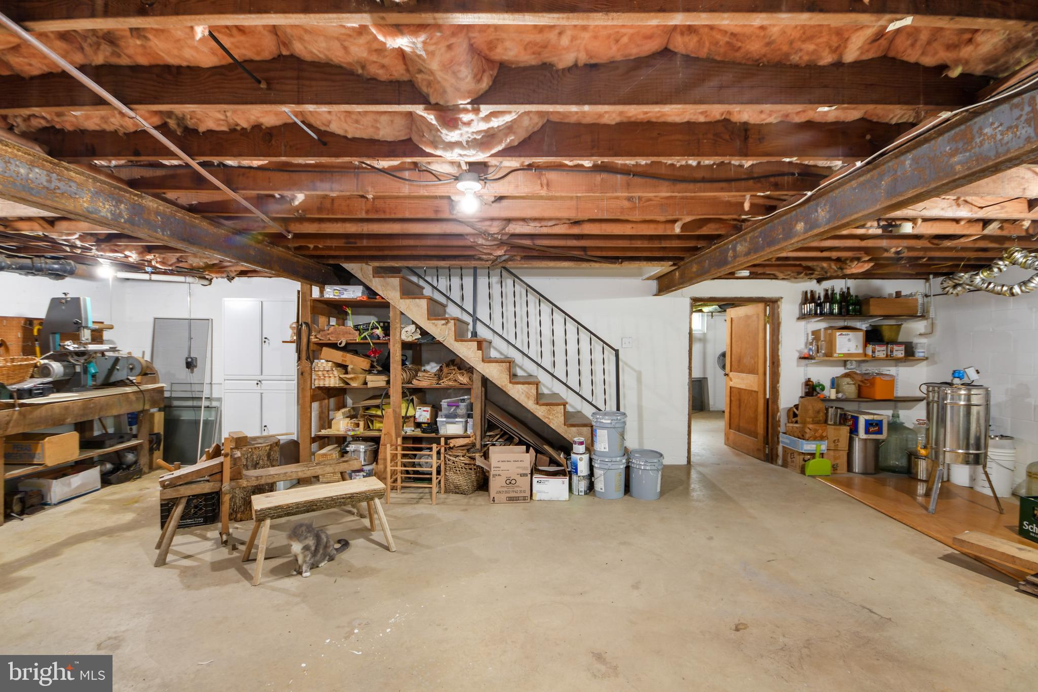 616 West Patrick Street Frederick, MD 21701 - Photo 51 of 81 Basement