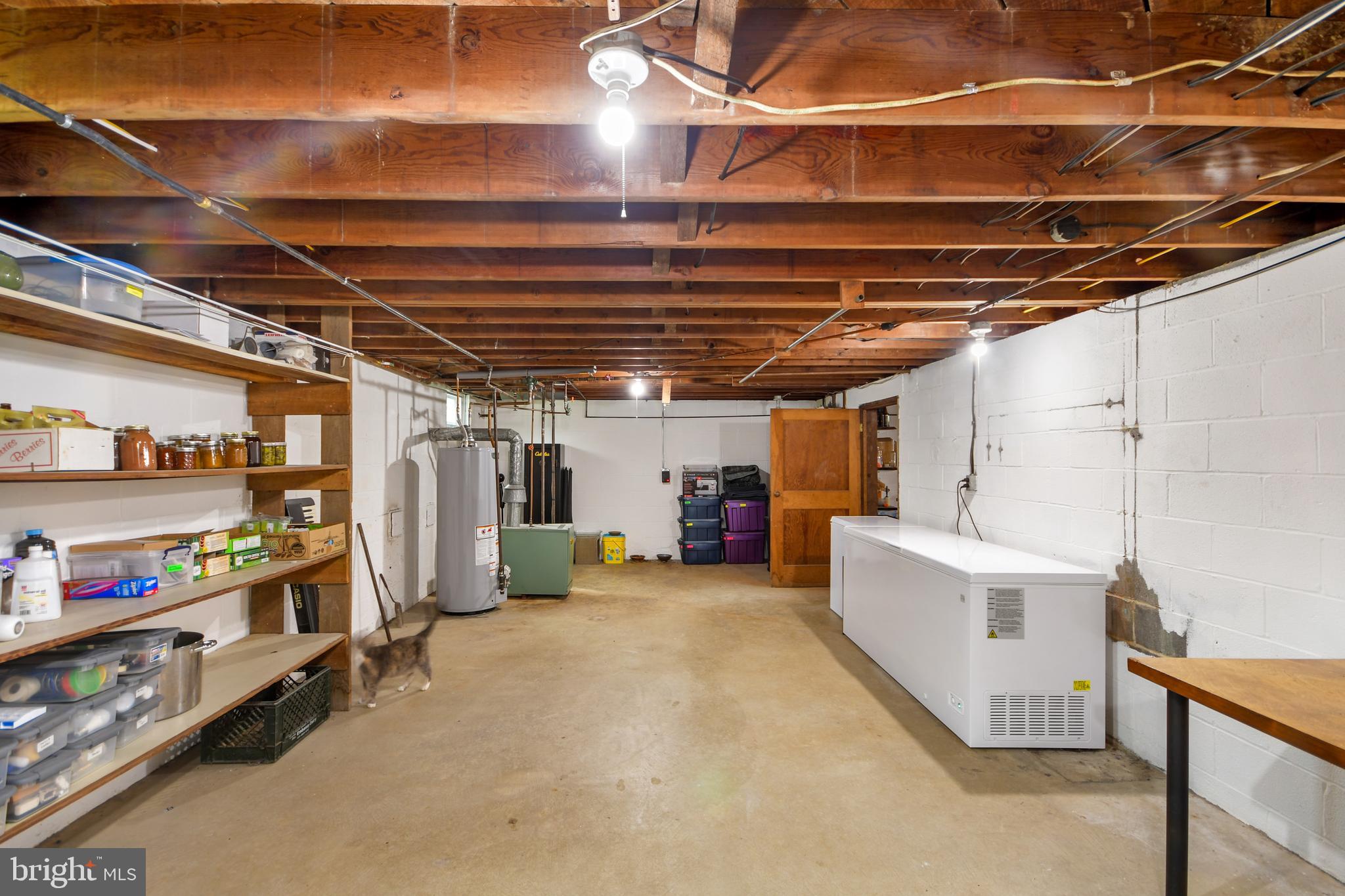 616 West Patrick Street Frederick, MD 21701 - Photo 53 of 81 Freezer is included