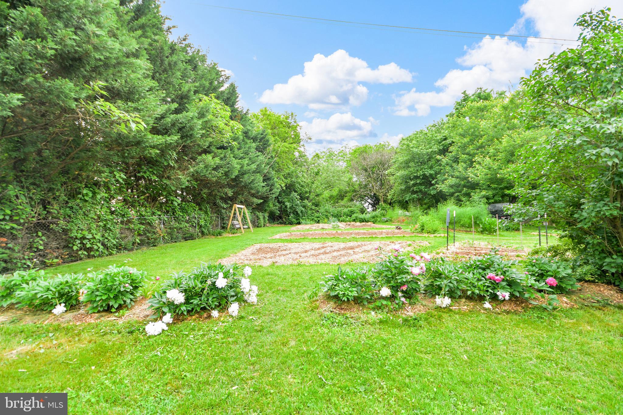 616 West Patrick Street Frederick, MD 21701 - Photo 65 of 81 Veggie garden