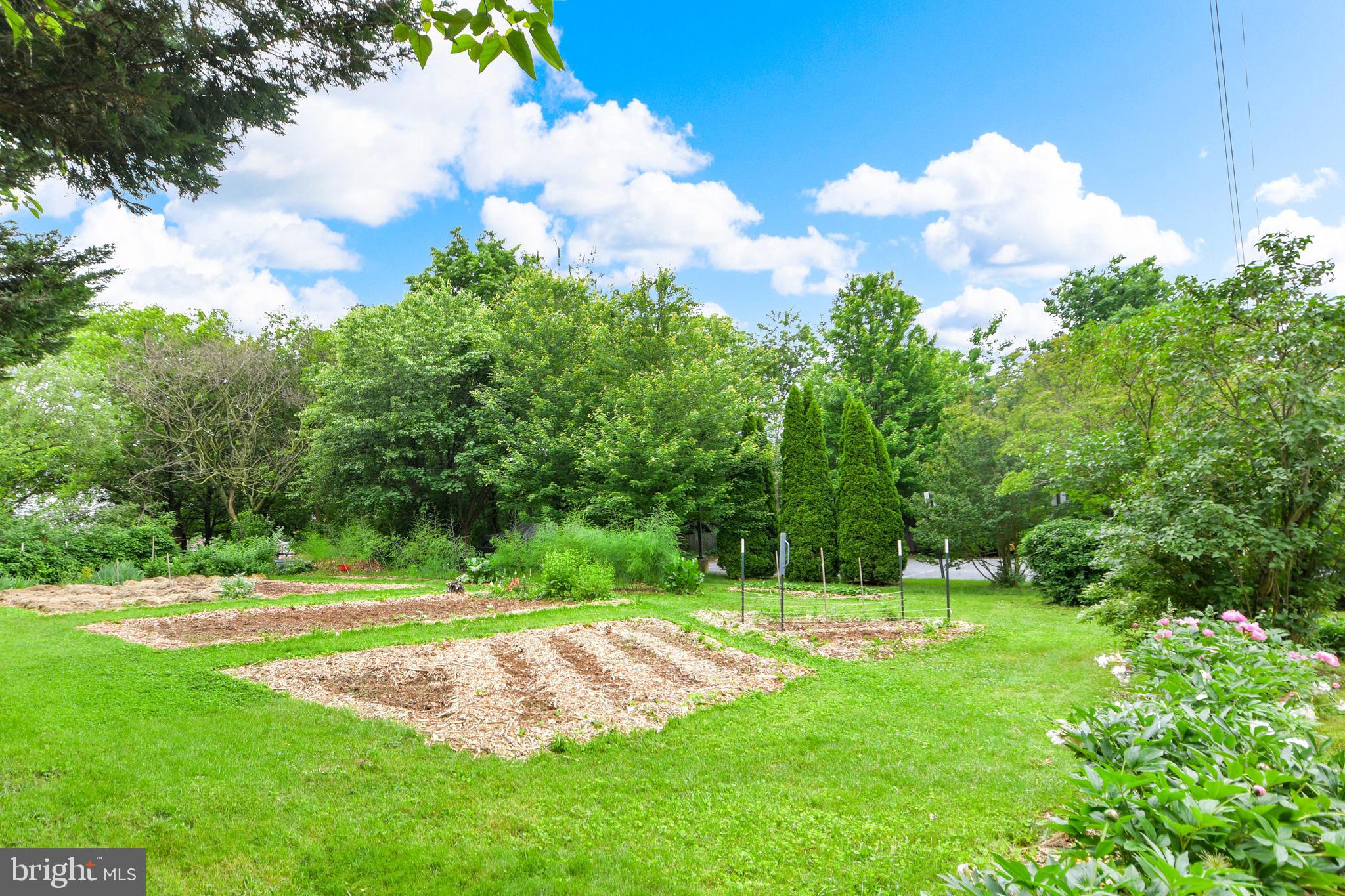 616 West Patrick Street Frederick, MD 21701 - Photo 66 of 81 all planted for you to harvest