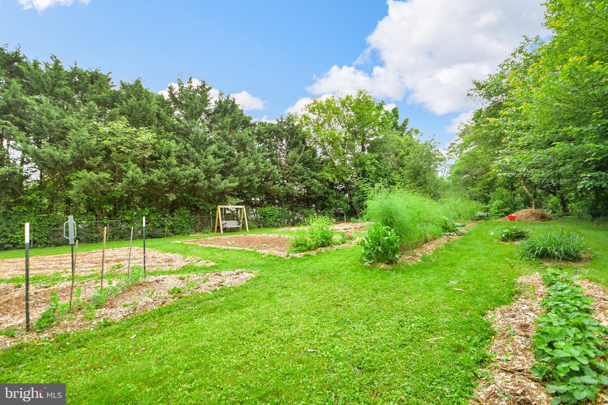 616 West Patrick Street Frederick, MD 21701 - Photo 67 of 81 veggies