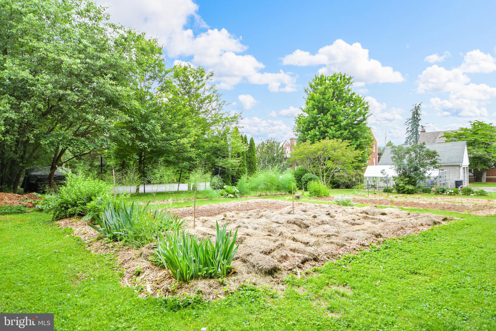 616 West Patrick Street Frederick, MD 21701 - Photo 69 of 81 garden