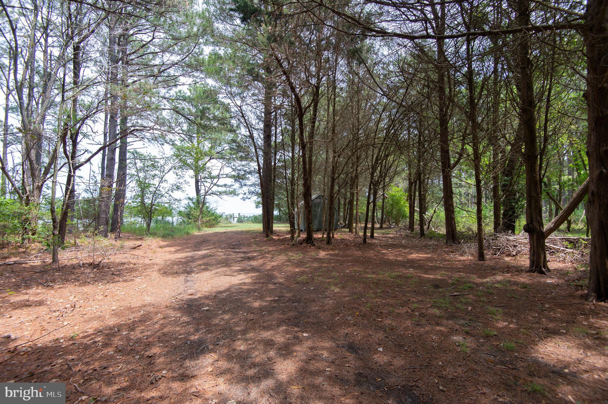 6046 Todds Point Road Cambridge, MD 21613 - Photo 77 of 94 Waterfront Parcel