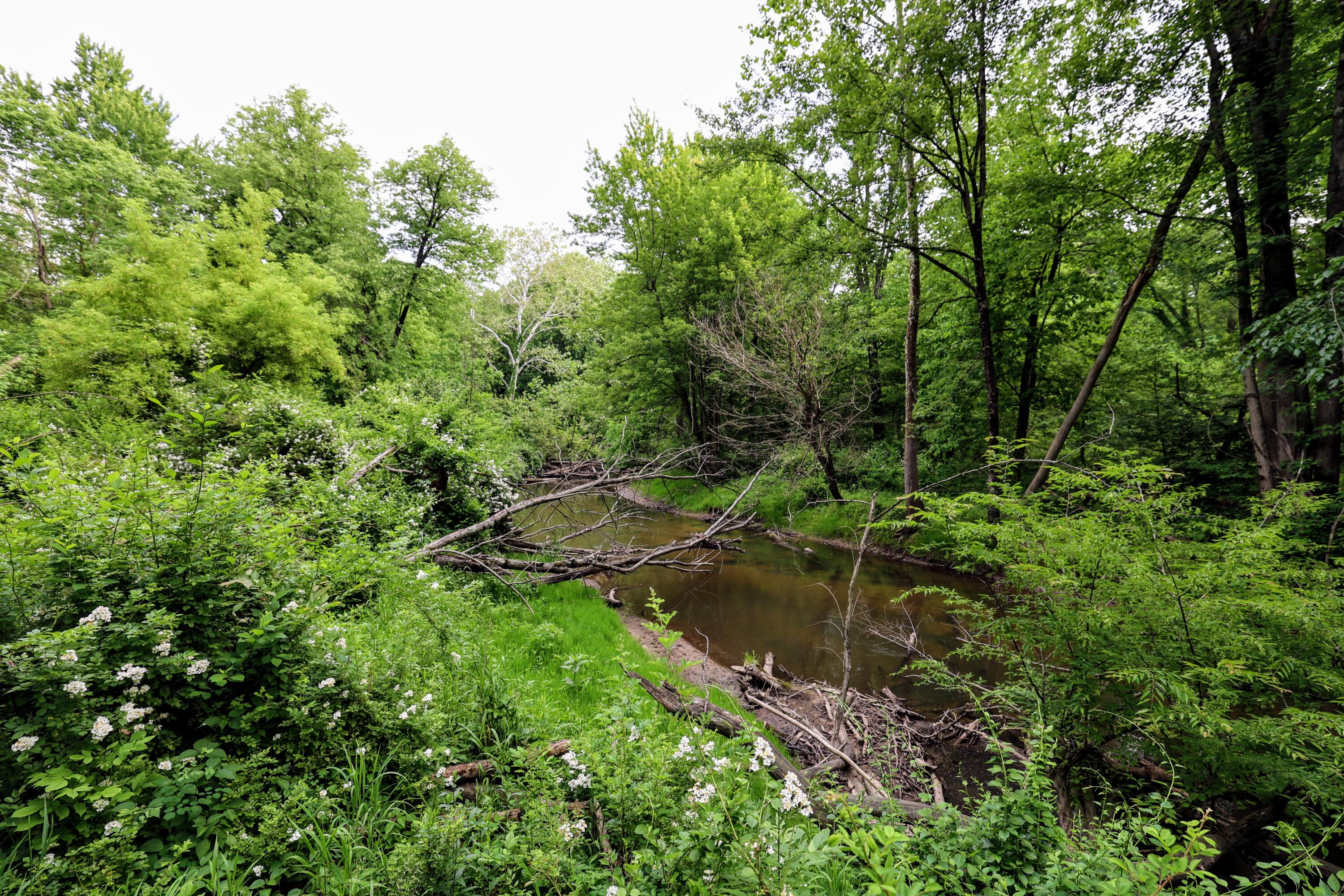 Vl Black River Road Bangor, MI 49013 - Photo 6 of 54 6