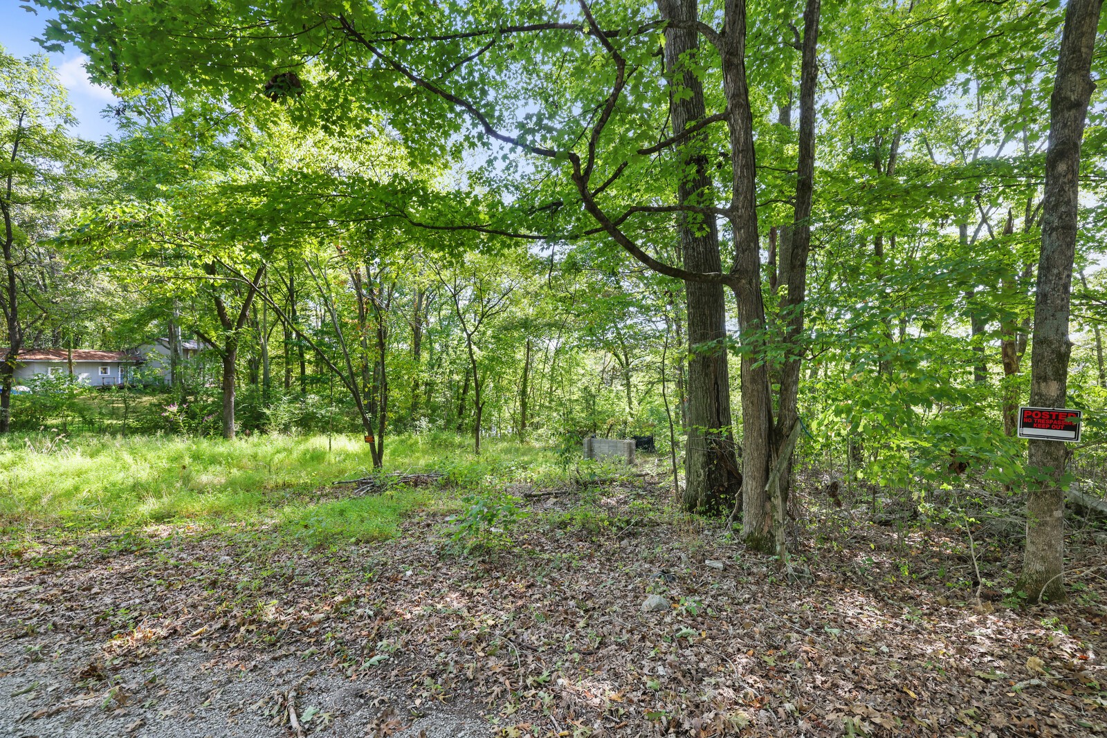 580 Carr Lane Castalian Springs, TN 37031 - Photo 11 of 15