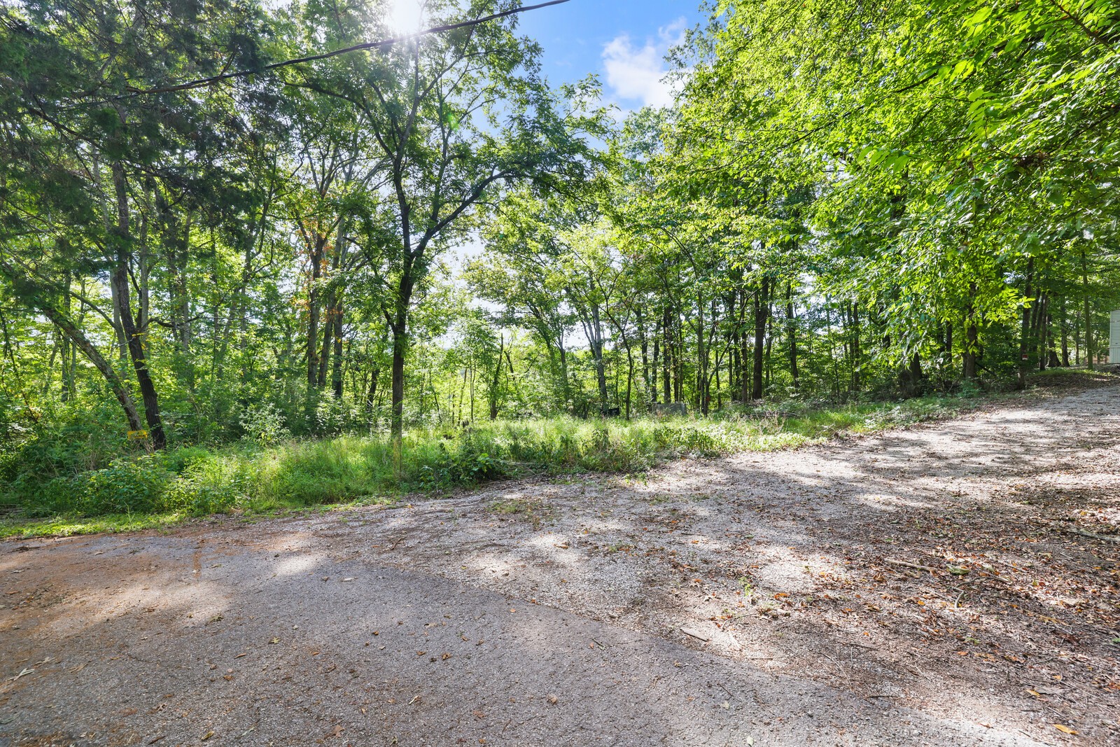 580 Carr Lane Castalian Springs, TN 37031 - Photo 13 of 15