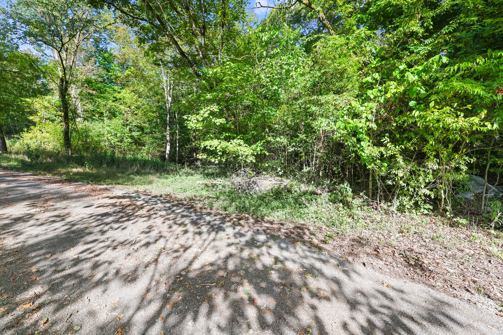 580 Carr Lane Castalian Springs, TN 37031 - Photo 14 of 15