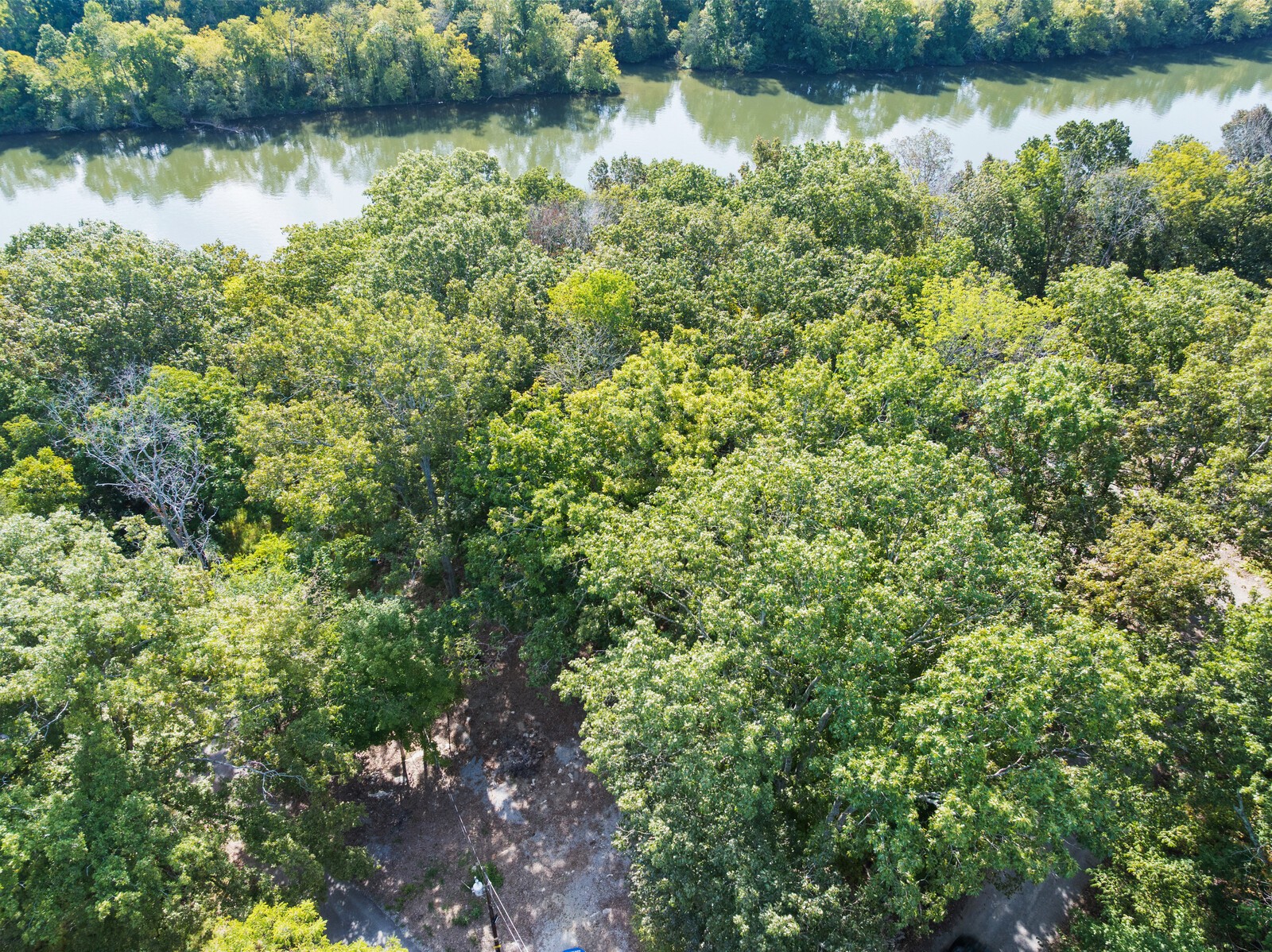 580 Carr Lane Castalian Springs, TN 37031 - Photo 4 of 15