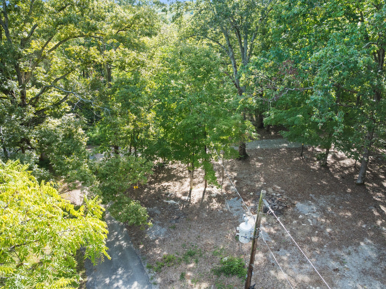580 Carr Lane Castalian Springs, TN 37031 - Photo 5 of 15