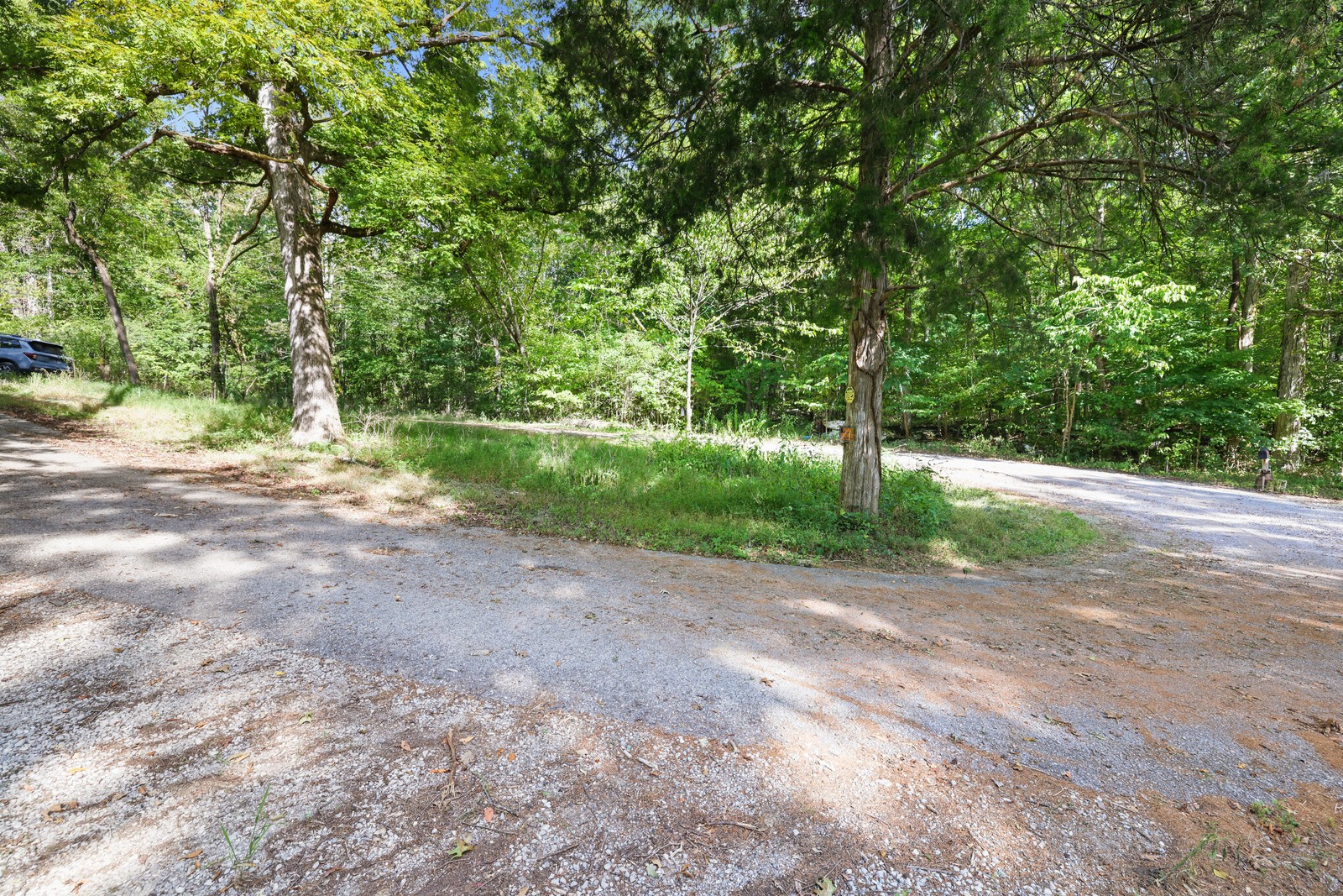 580 Carr Lane Castalian Springs, TN 37031 - Photo 7 of 15
