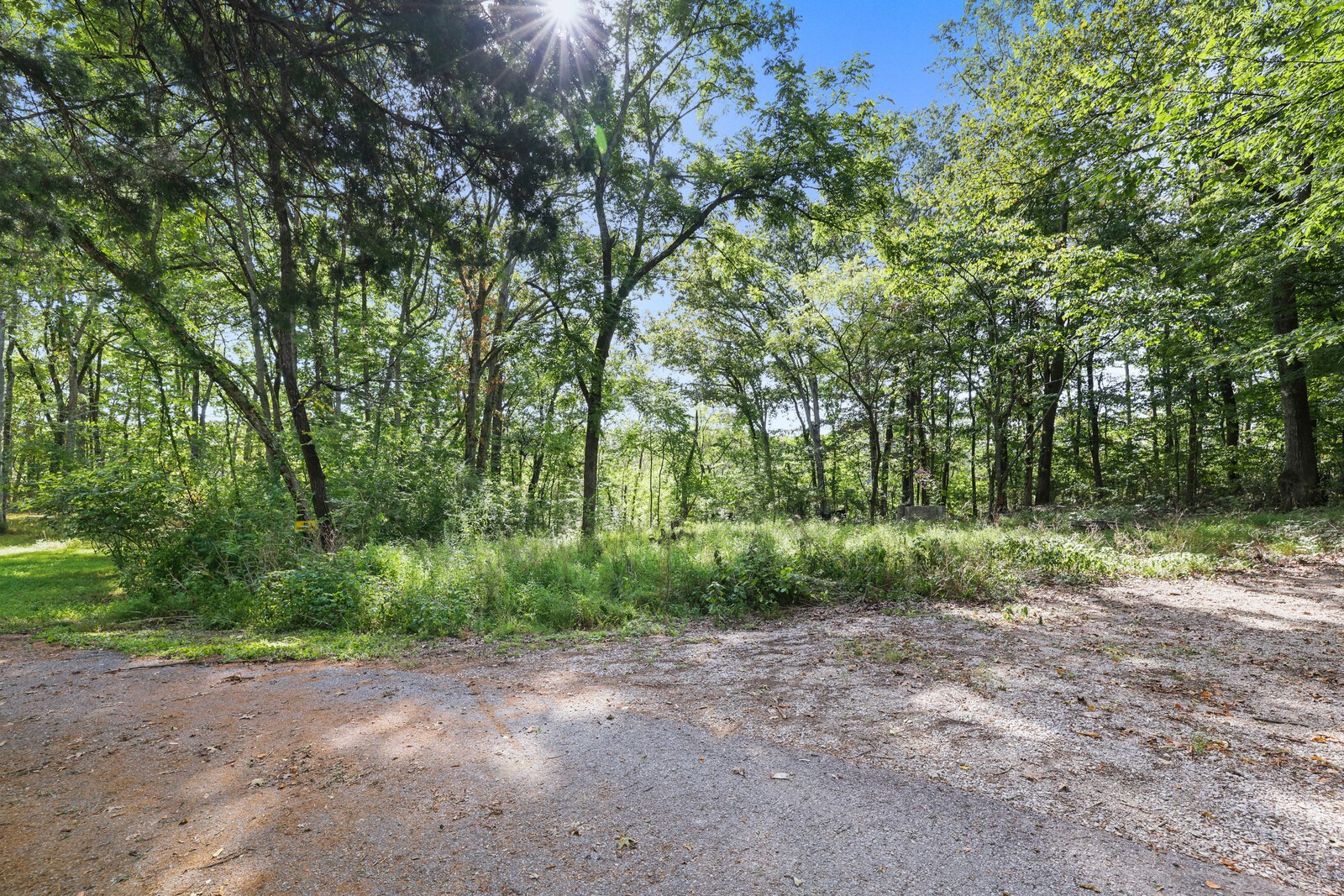 580 Carr Lane Castalian Springs, TN 37031 - Photo 8 of 15