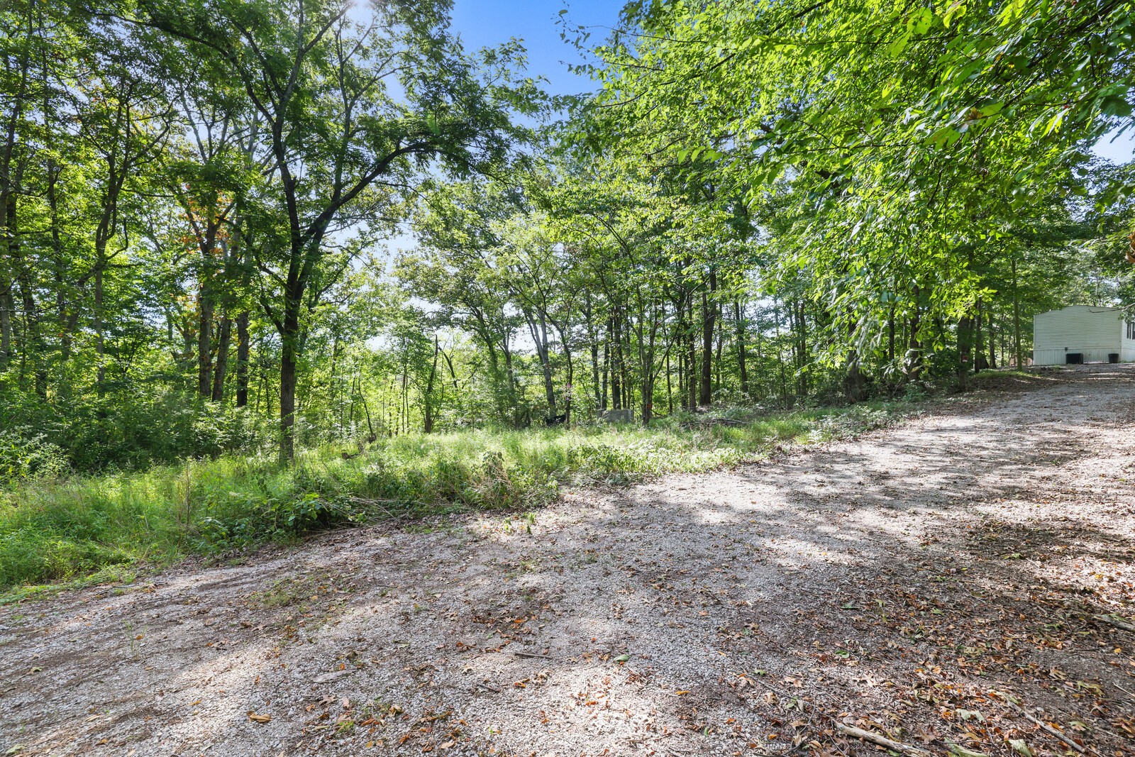 580 Carr Lane Castalian Springs, TN 37031 - Photo 9 of 15