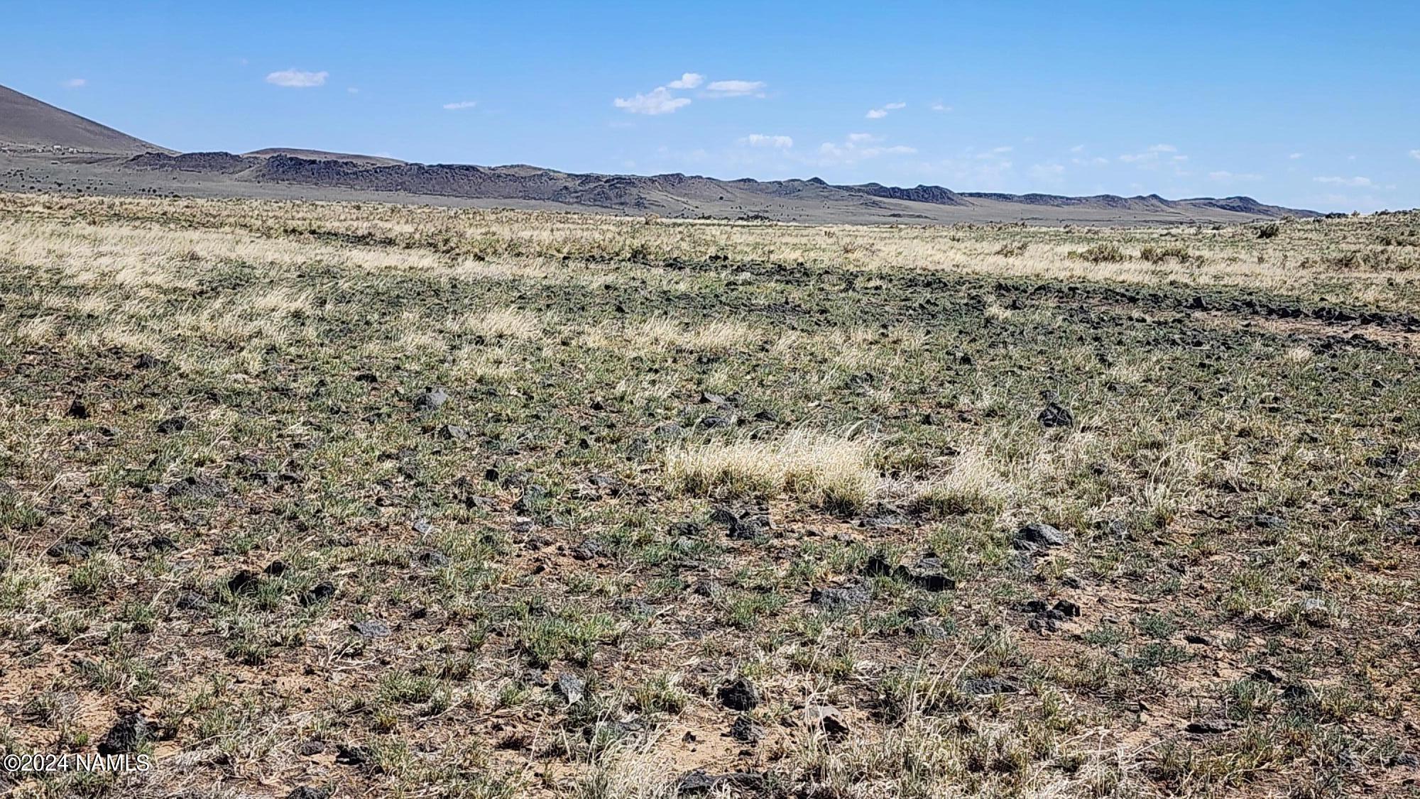 30317044 Alpine Ranch Flagstaff, AZ 86004 - Photo 2 of 9 30317044 parcel view --